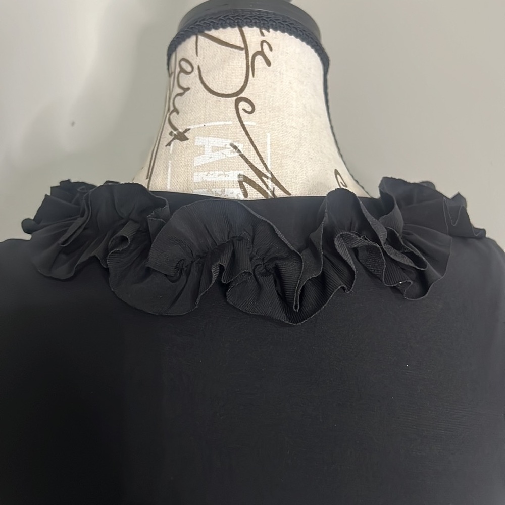 Tiana B. Sleeveless Black Dress - Petite Small | A11 - Picture 6 of 7